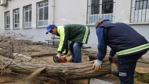 2 Ayda 350 Haneye Odun Desteği