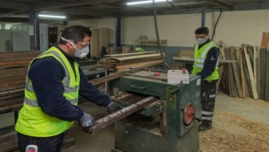 Budanan Ağaçlar Geri Dönüştürülüyor 