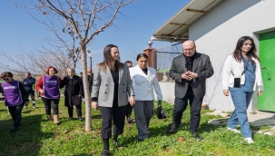 Bir Patili Dost Edinmeye Ne Dersiniz?