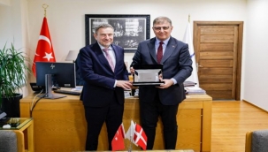 Danimarka İş Birliği