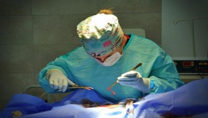 Barınaklarda Kalbinizi Çalacak Canlar Var