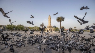 UCLG Kültür Komitesi'nin Yönetiminde