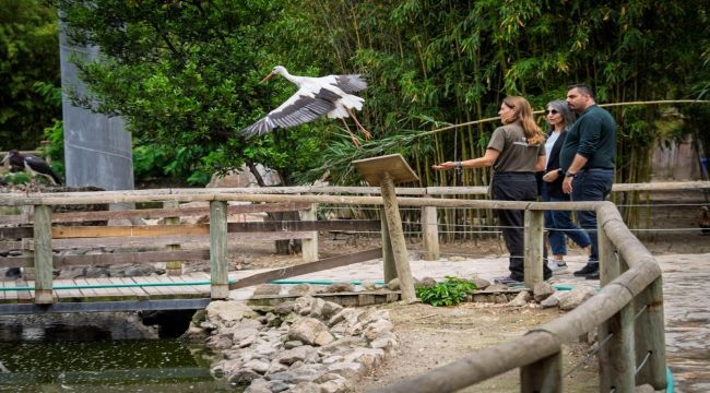 İzmir Doğal Yaşam Parkı'nda bebek heyecanı