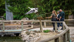  İzmir Doğal Yaşam Parkı'nda bebek heyecanı
