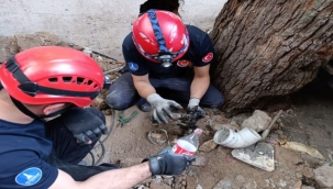 Tedavi Altına Alındı