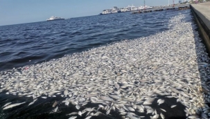 İzmir Körfezi Kirli ve Bir Süre Daha Kirli Kalacak 