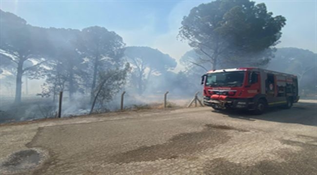 Bergama'da orman yangınına müdahale ediliyor