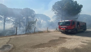 Bergama'da orman yangınına müdahale ediliyor