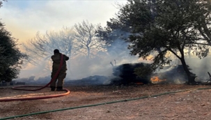 Çeşme'de salgınla mücadele sürüyor