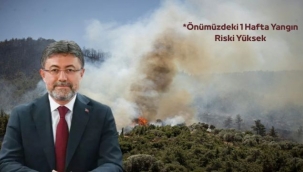 Yangınlar kontrol altına alındı 