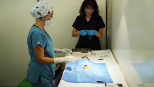 7 bin kediye mobil kısırlaştırma