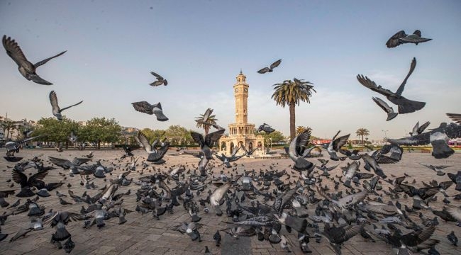 İklim krizi ile ilgili yurttaşın da sözü olacak