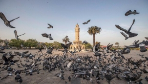 İklim krizi ile ilgili yurttaşın da sözü olacak