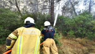 İzmir İtfaiyesi Menderes'te alevlerle mücadele ediyor