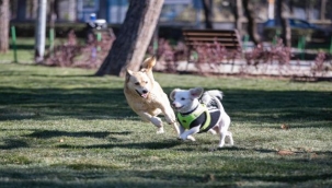Başkan Tugay döneminde hedef yemyeşil İzmir