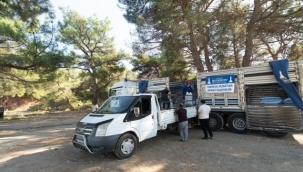 Büyükşehir'den yanan köylere 40 tonluk yem desteği