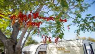 Karavancıların tercihi İnciraltı Karavan Parkı