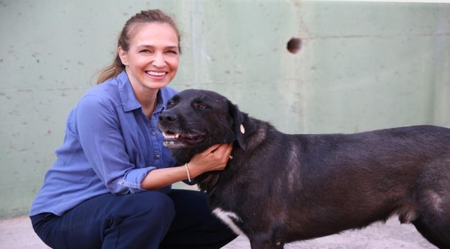 Karşıyaka'da can dostlar için 25 ton mama toplandı