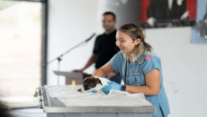 "Sahipsiz hayvanlara kötü muamele son bulsun"