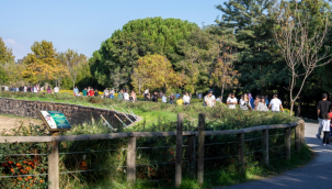 İzmir Doğal Yaşam Parkı'na ziyaretçi akını