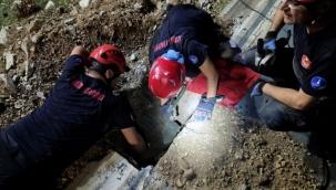 Mazgala düşen kayıp köpek ve kediler itfaiyenin çabasıyla kurtarıldı