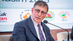 Tugay: Zeytinlikleri korumak bir kentin değil tüm ülkenin geleceğini korumaktır