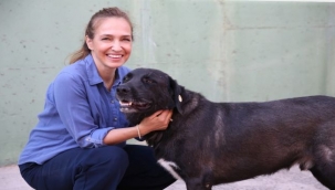 1 Yılda 40 Bin Can Dost İçin Şefkat Seferberliği