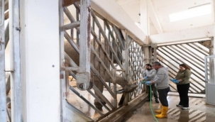 İzmir Doğal Yaşam Parkı'nın fillerine hayat kurtaran ayak bakımı