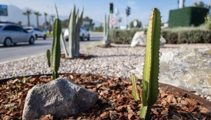 İzmir'in çehresi su tasarruflu bitkilerle güzelleşiyor