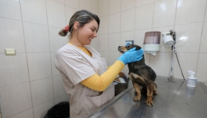 Gaziemir Belediyesi'nden can dostlara uzanan sevgi eli