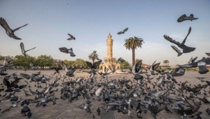 İzmir Büyükşehir Belediyesi yıla Moody's'in Aaa teyidiyle başladı