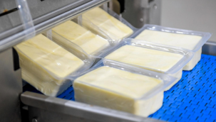 Büyükşehir'den peynir hamlesi