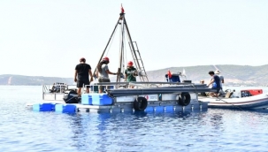 İzmir'den depreme kapsamlı plan