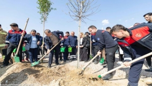 Bornova'ya 8 bin metrekarelik mikro orman