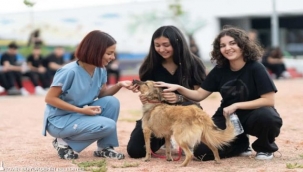 On binlerce cana dokunan seferberlik