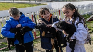 "Satın alma, sahiplen" çağrısı