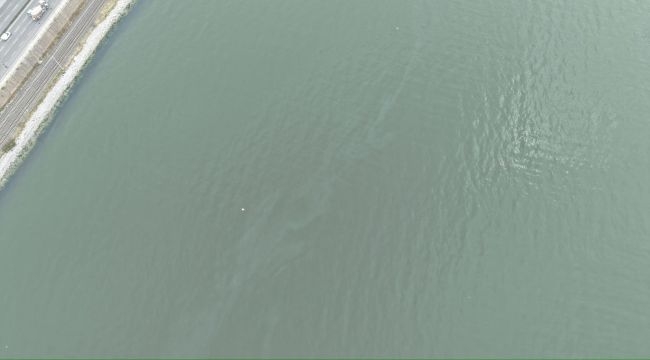 İzmir Körfezi'nde kirlilik alarmı: Aynı tehdit 11. kez görüldü