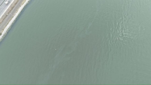 İzmir Körfezi'nde kirlilik alarmı: Aynı tehdit 11. kez görüldü