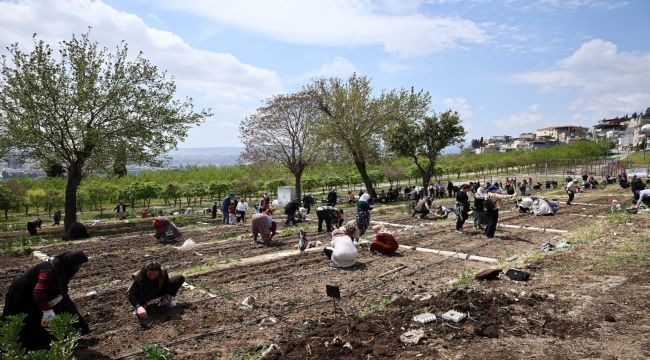 Zurich Türkiye, İzmir'de iklim dayanıklılığını güçlendiriyor