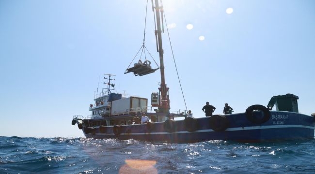 Midye kabukları deniz yaşamına nefes olacak